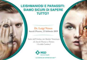 Schermata 2019-01-30 alle 16.44.45