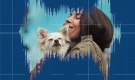 Schermata 2019-04-29 alle 11.01.45