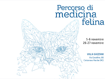 CORSO SPC “Itinerario di Medicina Felina” 5-6-26-27/11/2022