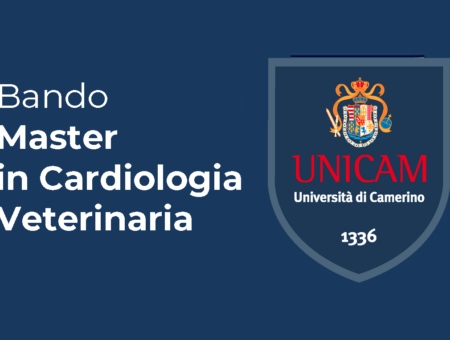 Bando – Master in Cardiologia Veterinaria – Unicam