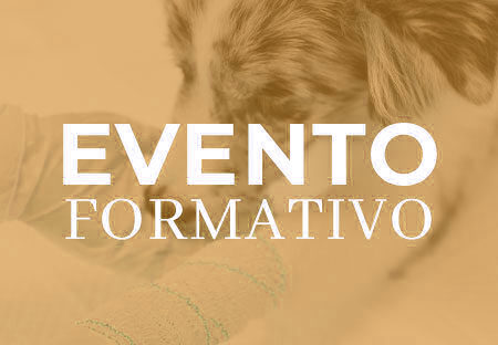 PSICOLOGIA DELLA COMUNICAZIONE – COME SOPRAVVIVERE AL MESTIERE DEL VETERINARIO: L’ARTE DI GESTIRE I CONFLITTI SUL LAVORO E RITROVARE L’ARMONIA