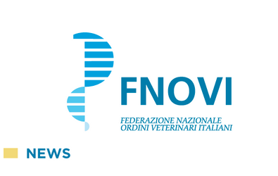 RAPPORTO TRA SISTEMA DI EDUCAZIONE CONTINUA IN MEDICINA (ECM) E SISTEMA COMPLEMENTARE DI SVILUPPO PROFESSIONALE CONTINUO (SPC)