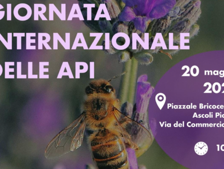 GIORNATA INTERNAZIONALE DELLE API – 20 MAGGIO 2024