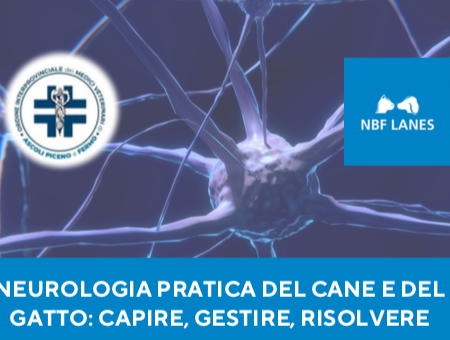 30 NOVEMBRE 2025 – ASCOLI PICENO – NEUROLOGIA PRATICA DEL CANE E DEL GATTO: CAPIRE, GESTIRE, RISOLVERE