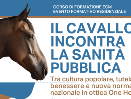 18 NOVEMBRE 2026 – Il cavallo incontra la sanità pubblica: tra cultura popolare, tutela del benessere e nuova normativa nazionale in ottica One Health